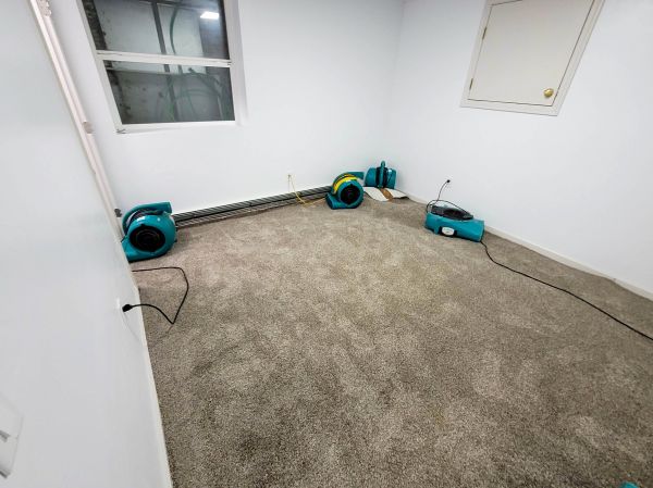 Flood Restoration Service in Palatine