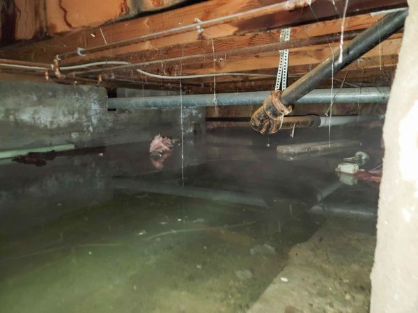 Crawlspace Water Restoration in Palatine